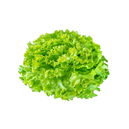 Imagen de ingrediente Enciam