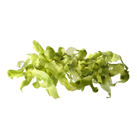 Imagen de ingrediente Enciam