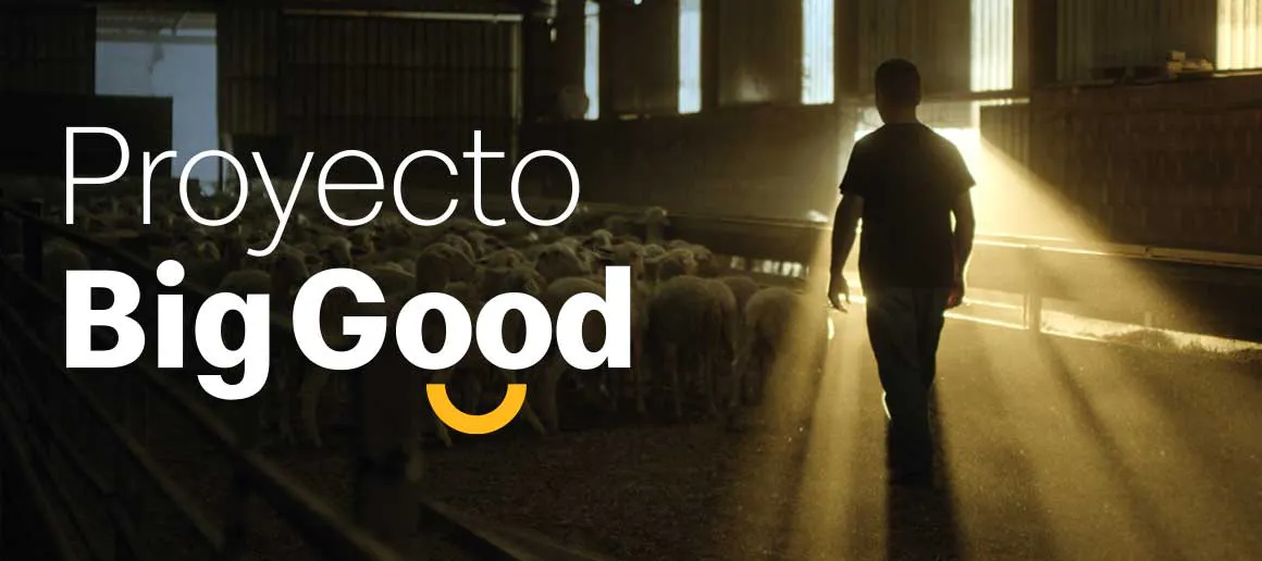 Una persona caminant pel camp i il·luminat per un raig de llum, a l'esquerra es veu el text Projecte Big Good